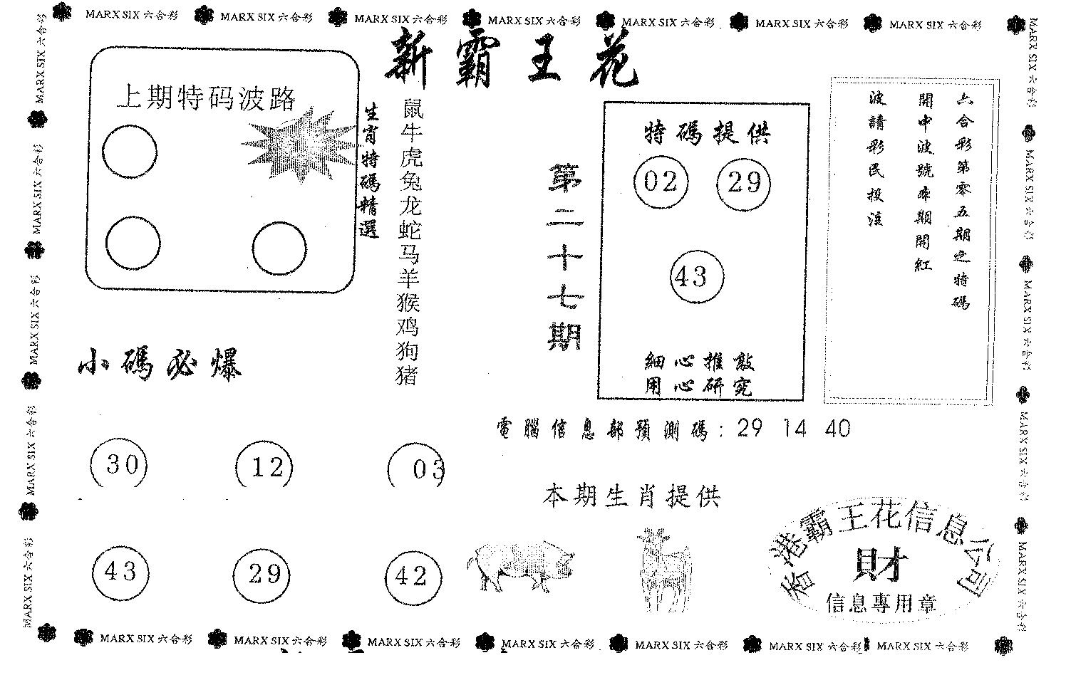 新霸王花-27