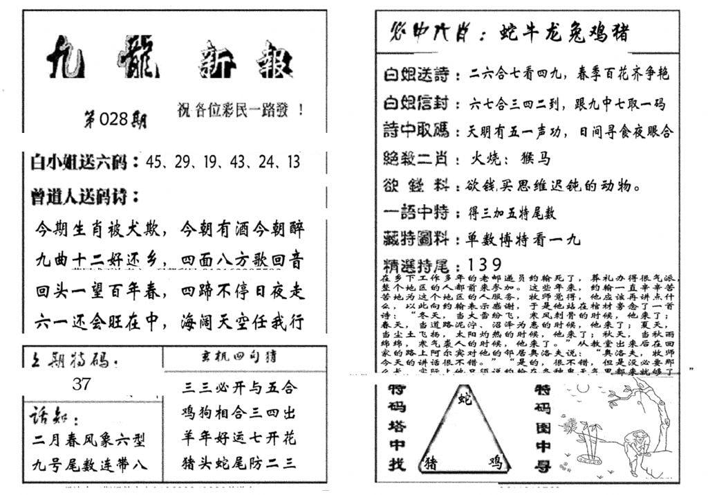 九龙新报(生肖版)-28