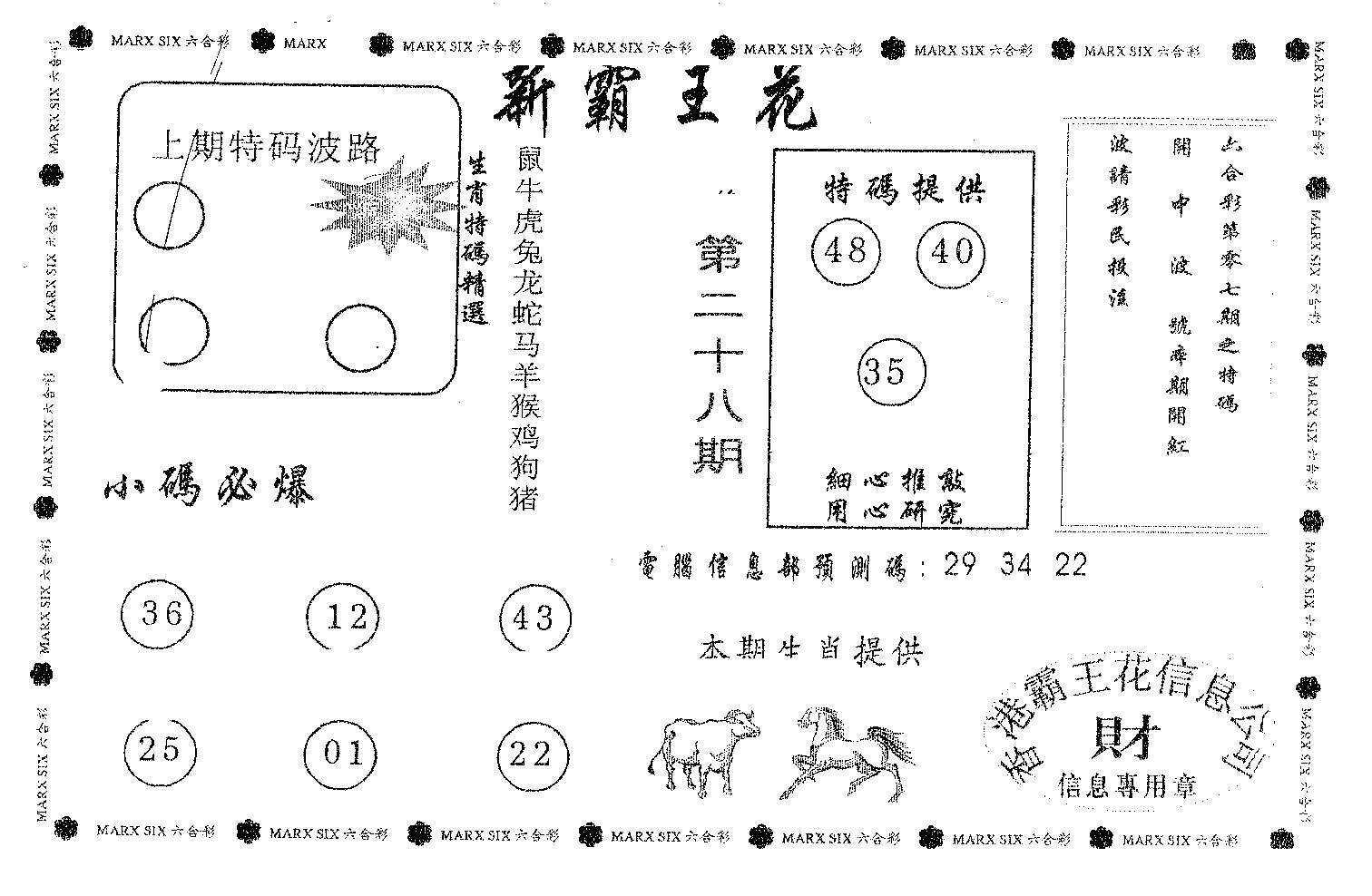 新霸王花-28