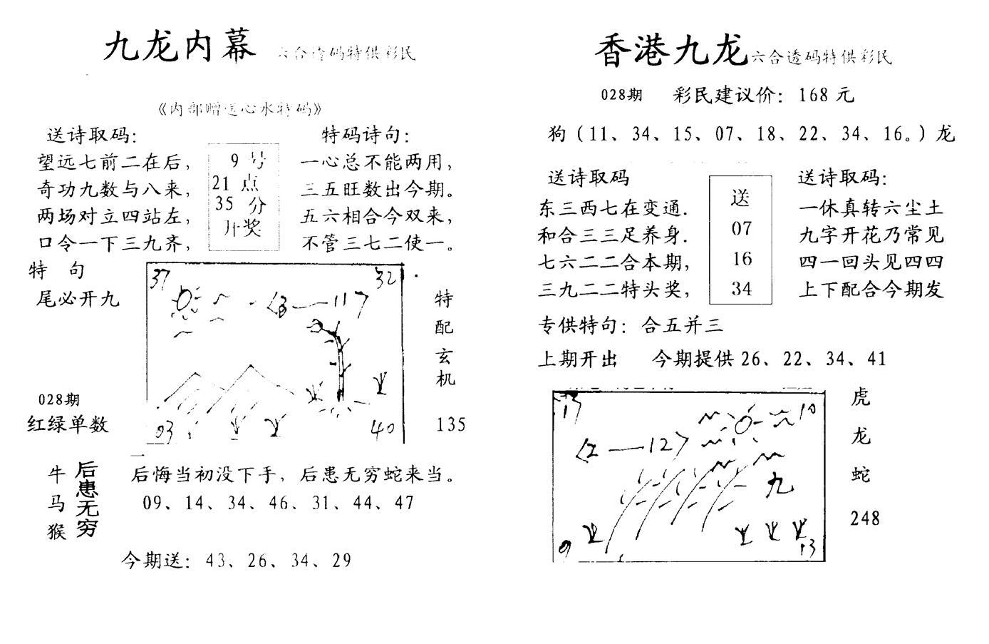 九龙内幕--开奖报-28