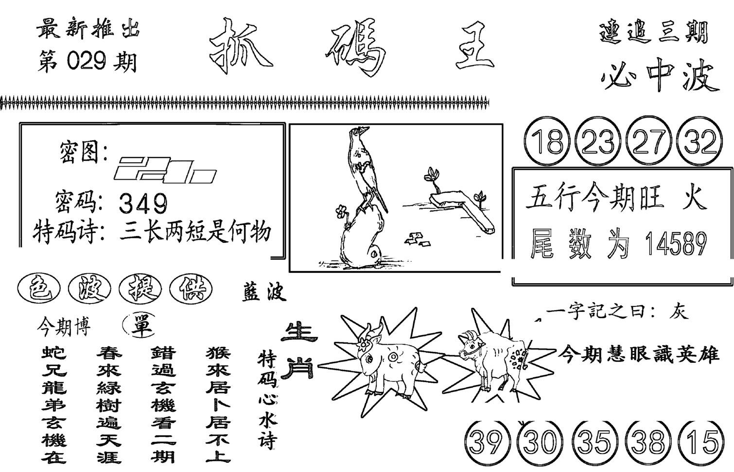 抓码王-29