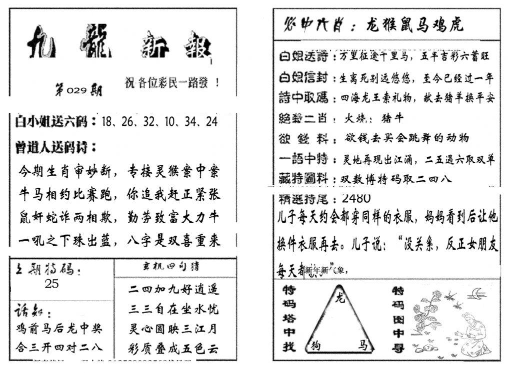 九龙新报(生肖版)-29