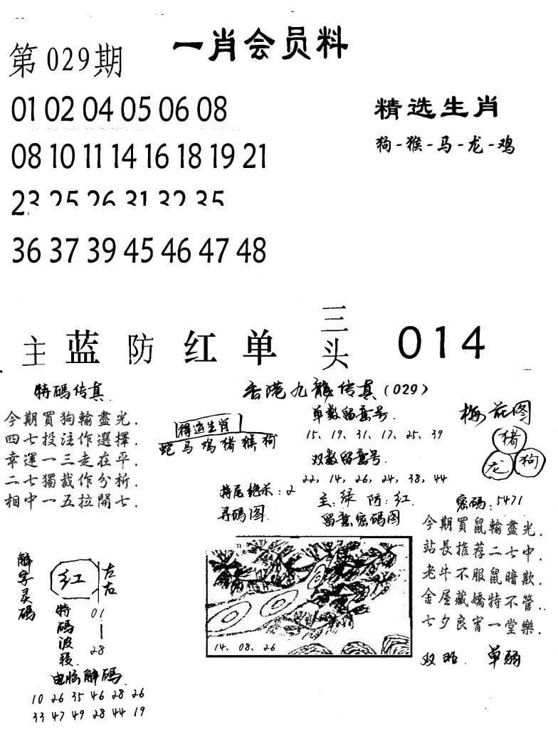 一肖会员料-29