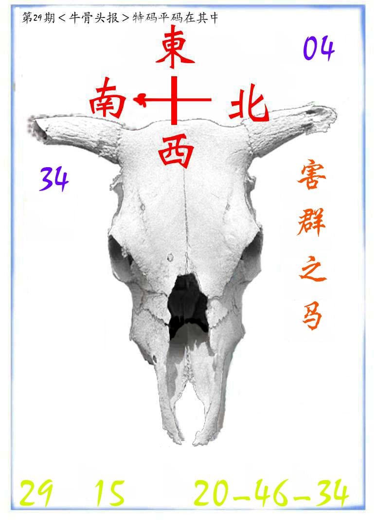 牛派系列7-29