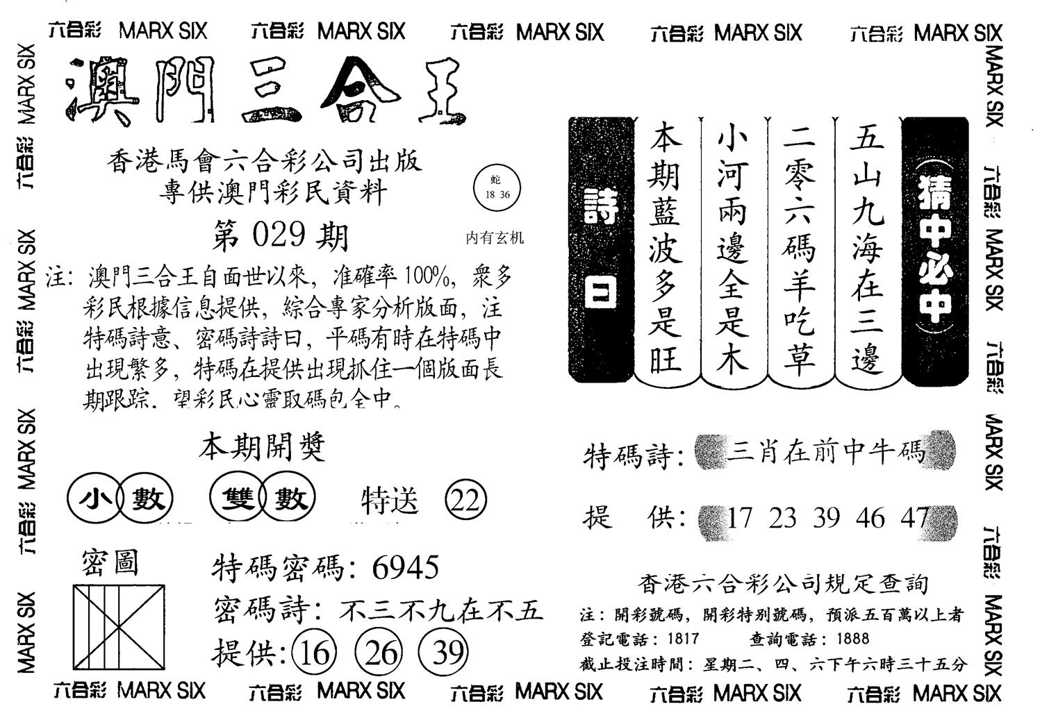 另澳门三合王A-29