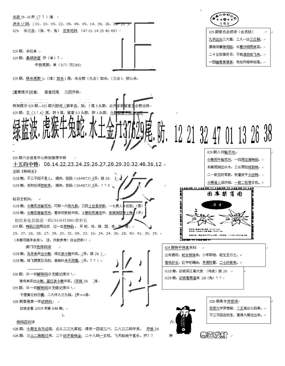 正版资料-29