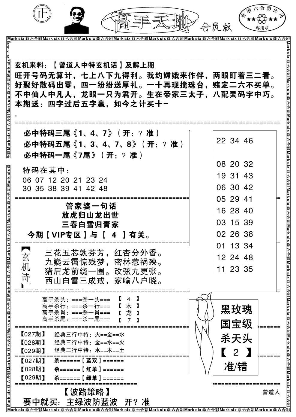 高手天地-29