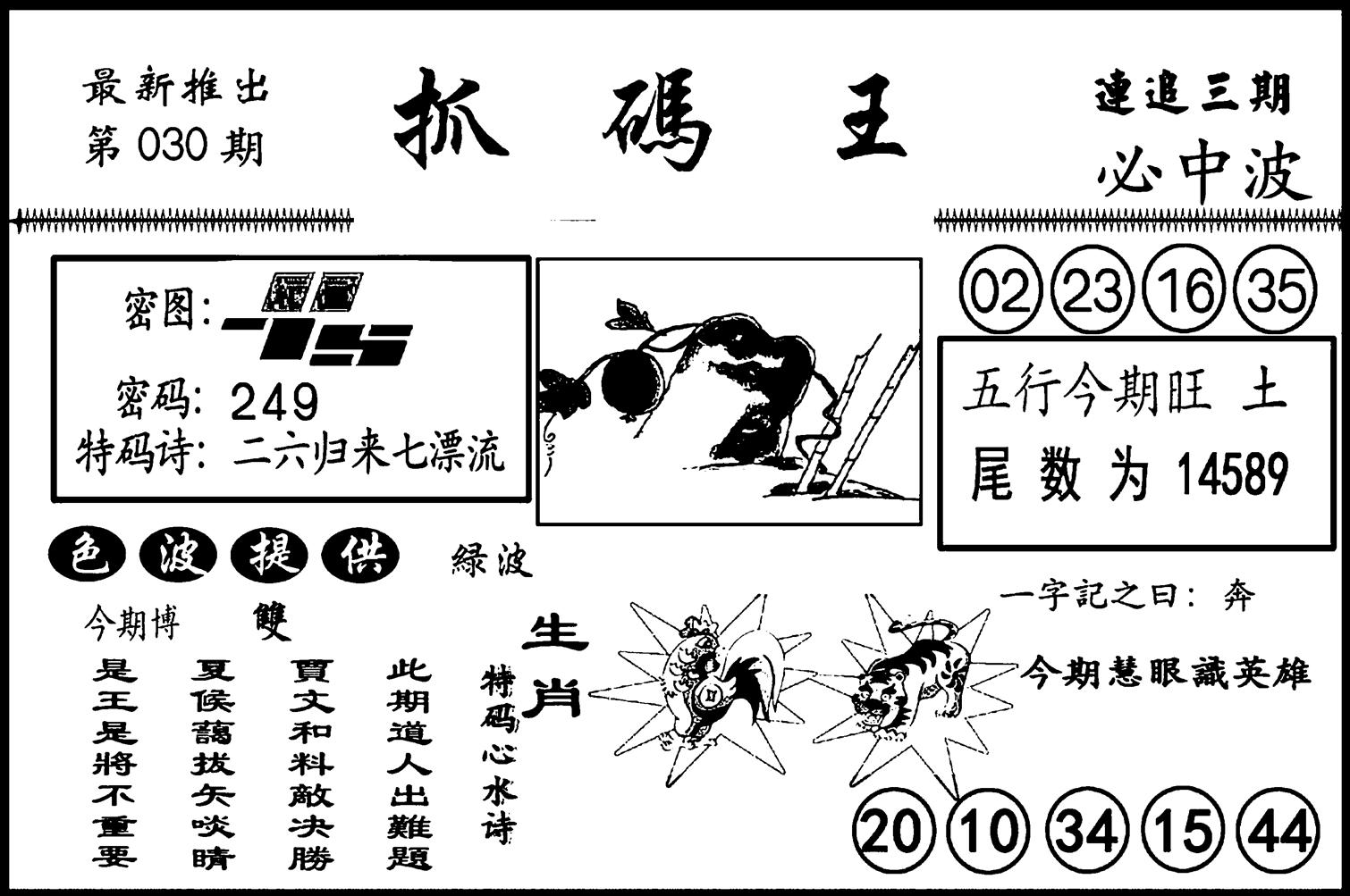 抓码王-30