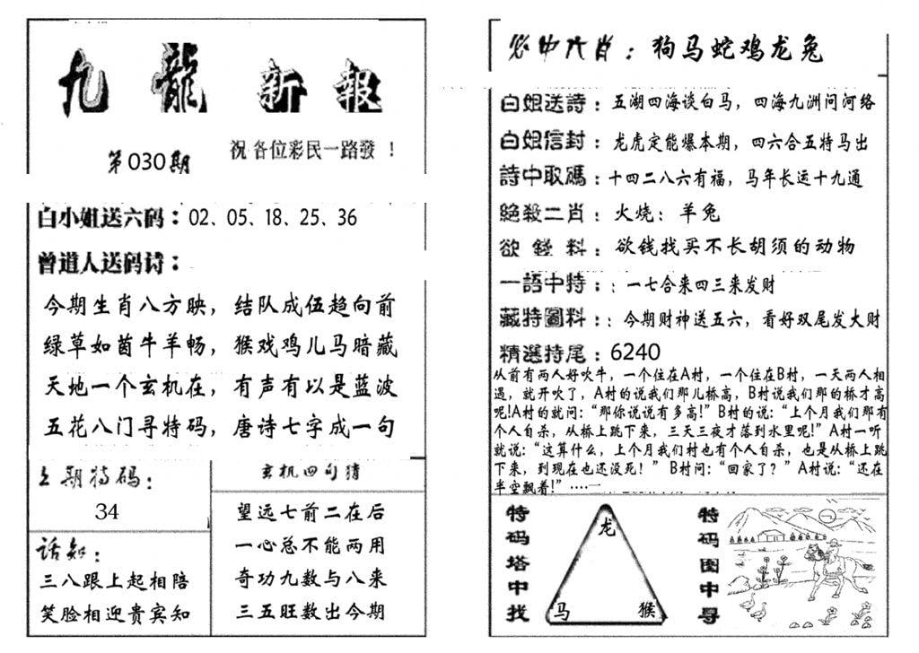 九龙新报(生肖版)-30