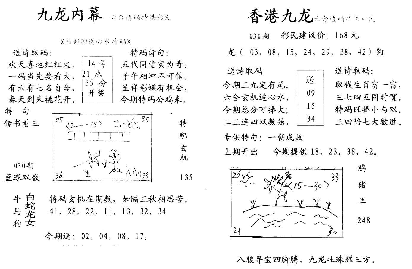 九龙内幕--开奖报-30