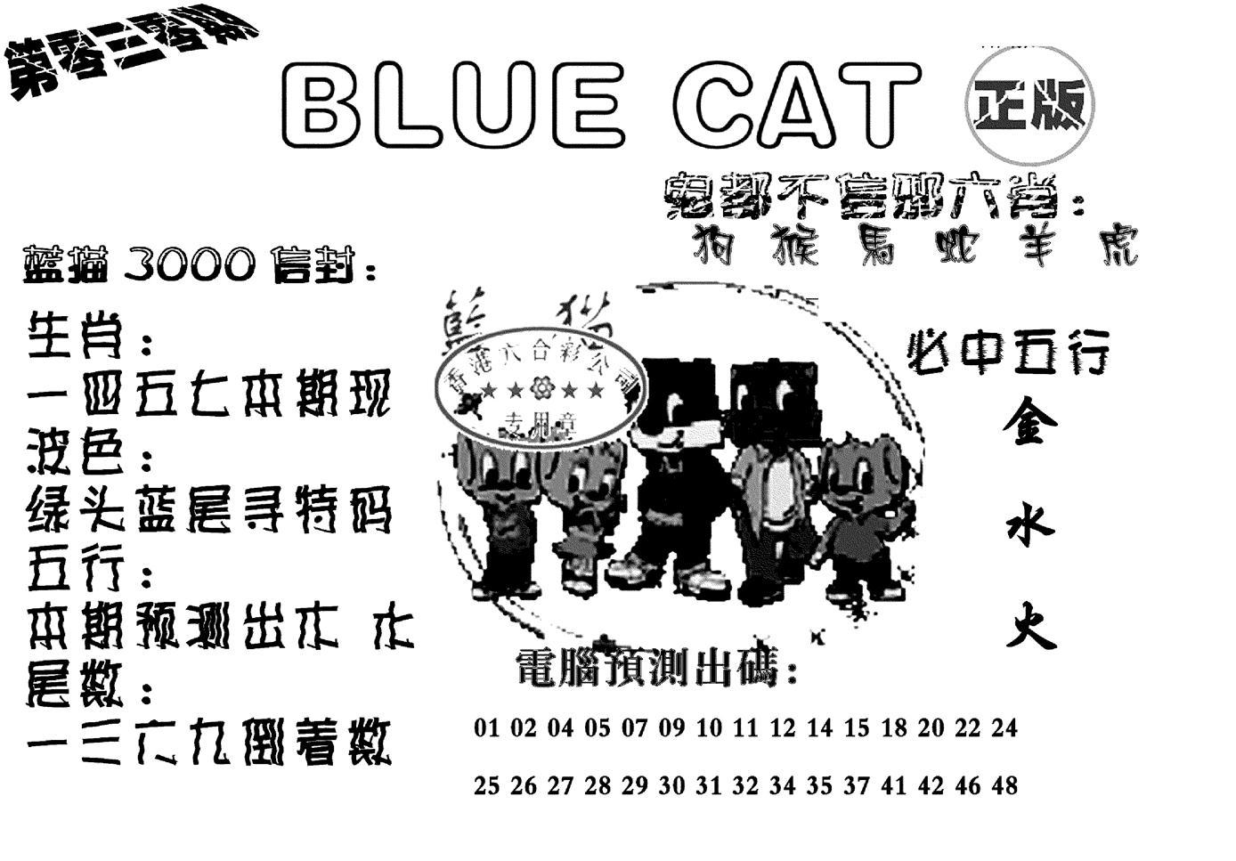 蓝猫Blue Cat-30