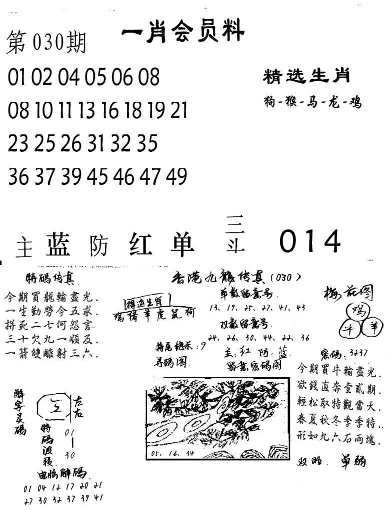 一肖会员料-30