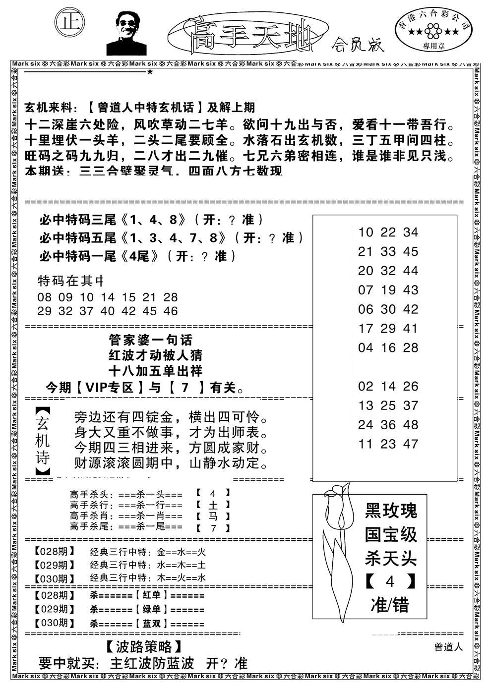 高手天地-30