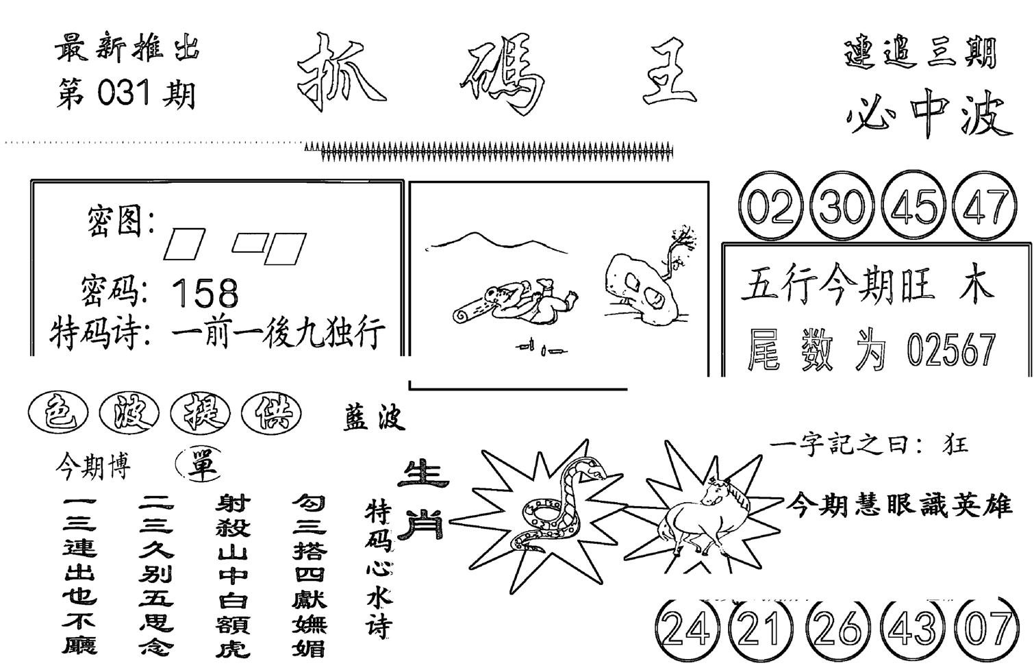 抓码王-31