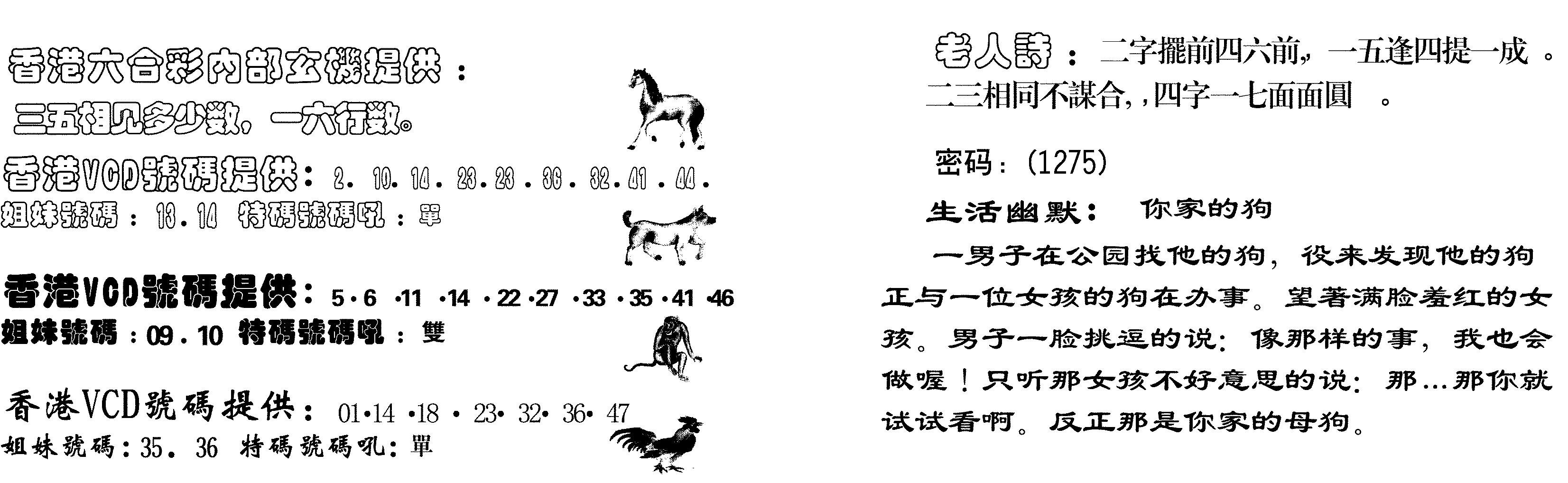 当日跑狗-31