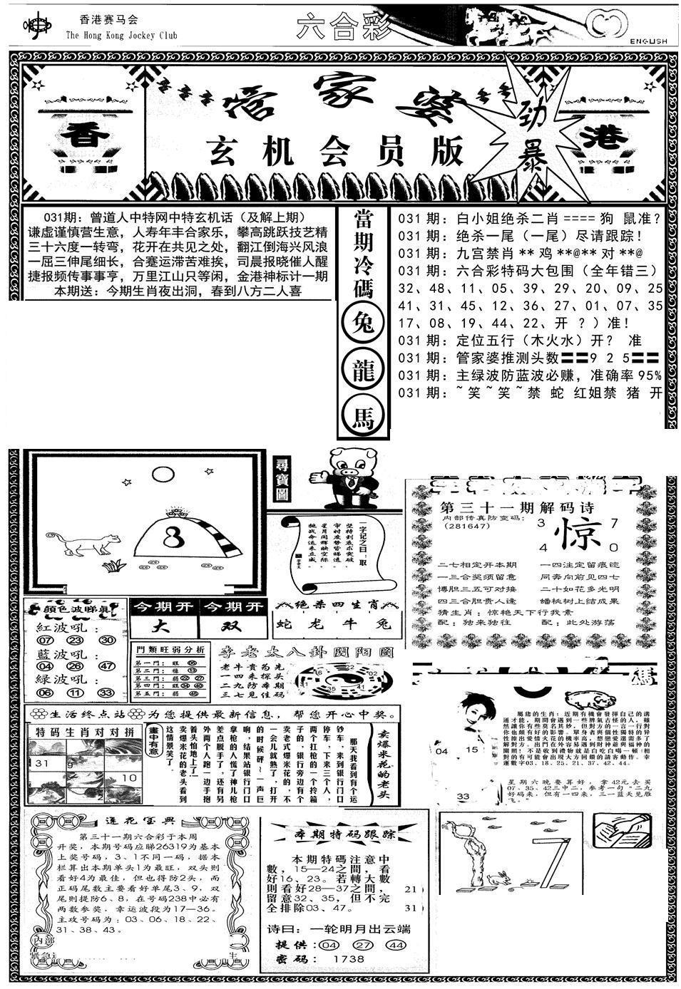 管家婆-玄机会员版(热)-31