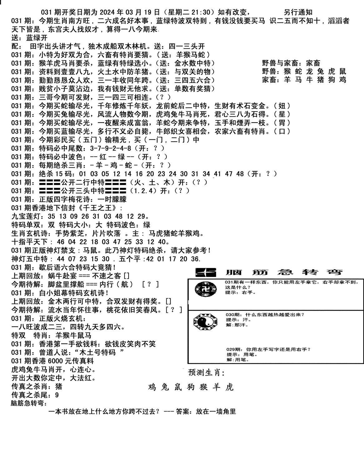 马会小综合-31