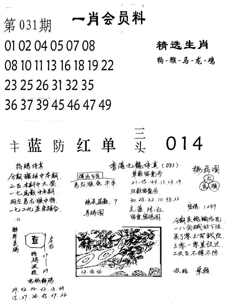 一肖会员料-31