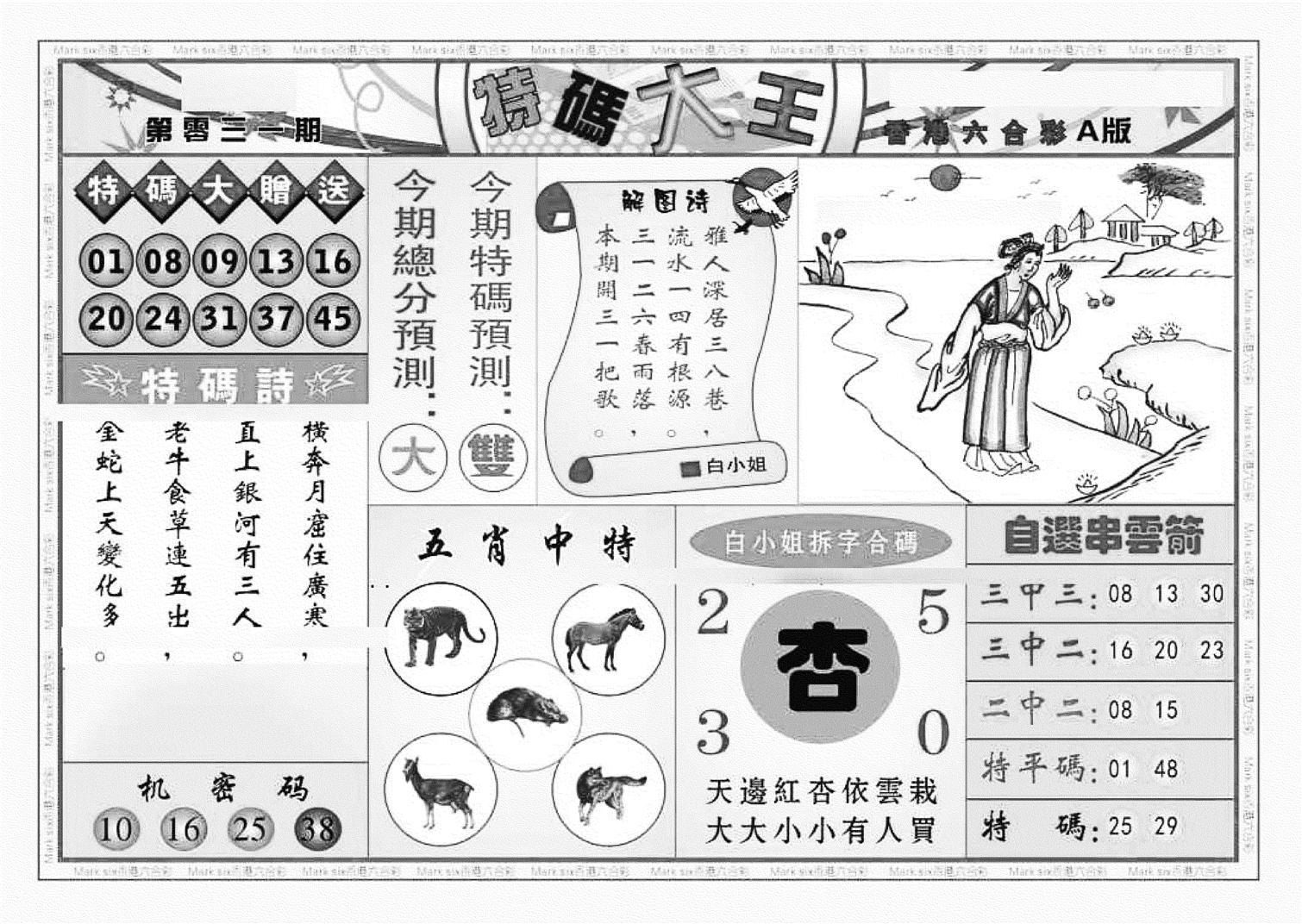 特码大王A（新图）-31