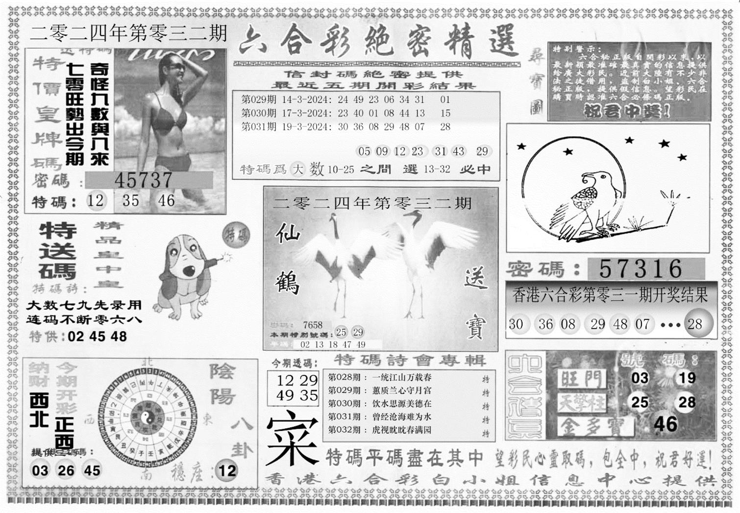 白姐绝密精选A-32