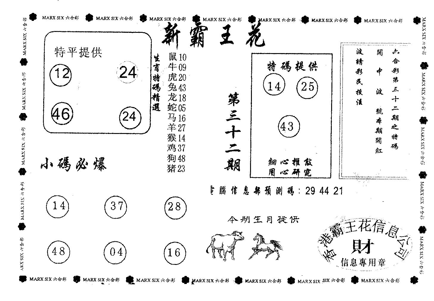 新霸王花-32