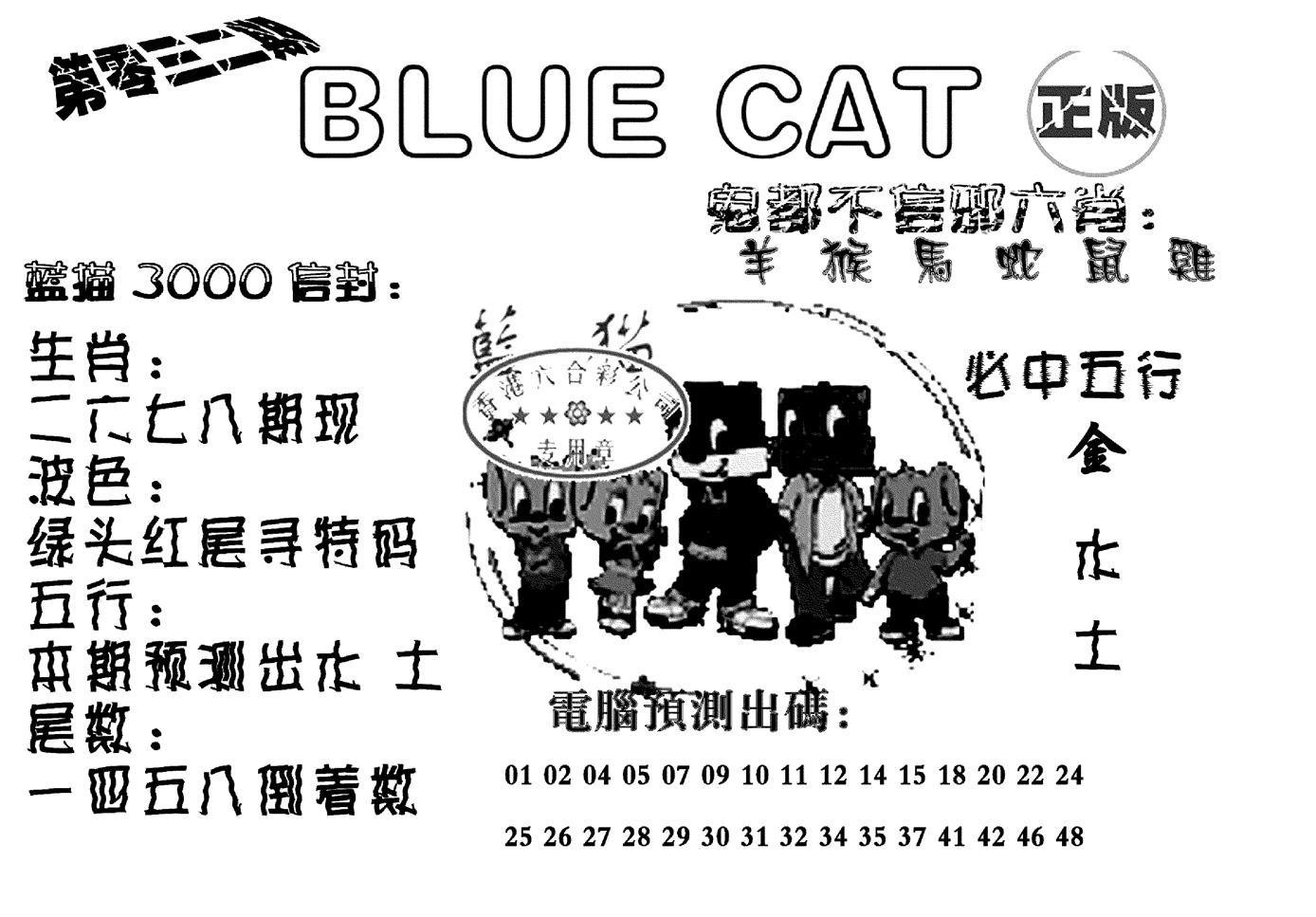 蓝猫Blue Cat-33