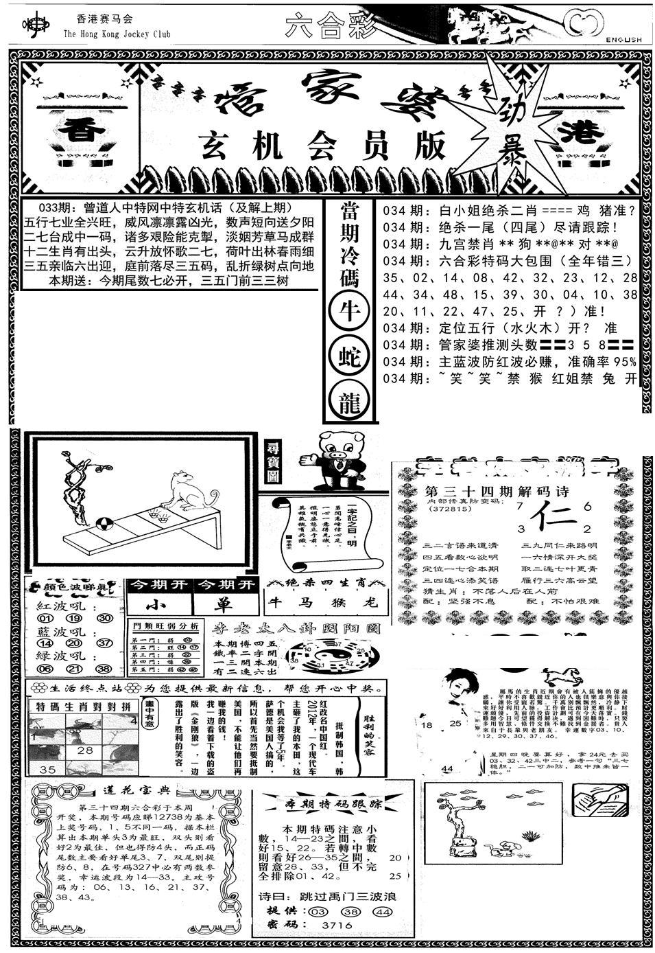 管家婆-玄机会员版(热)-34