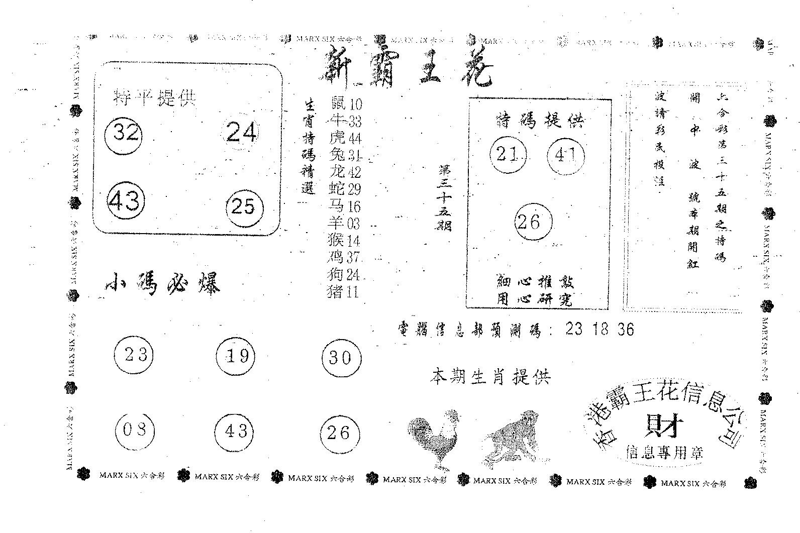 新霸王花-35