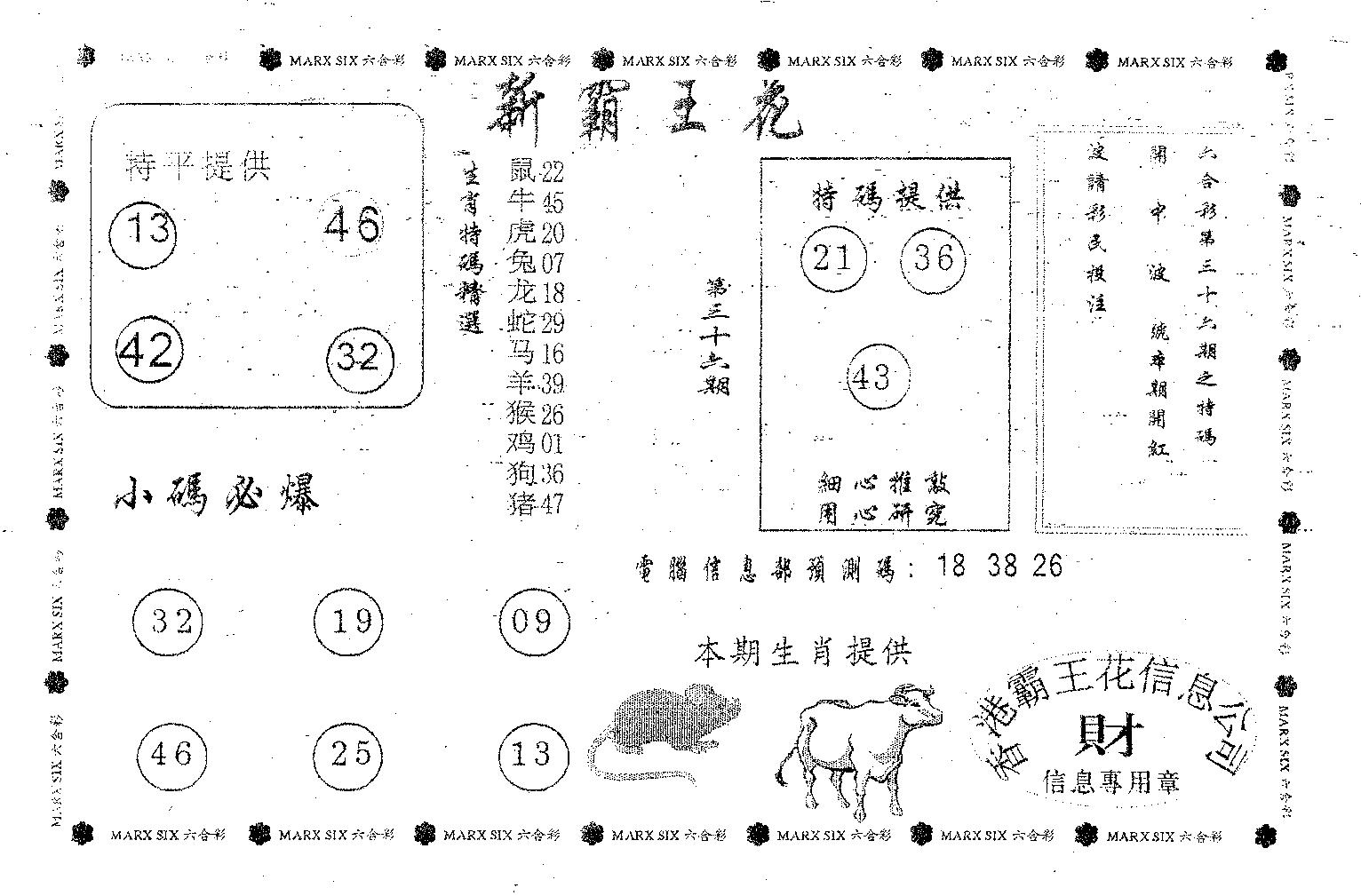 新霸王花-36