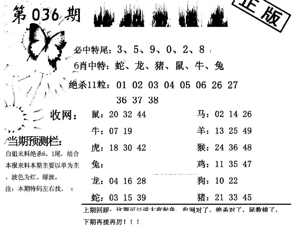 特码直通车-36