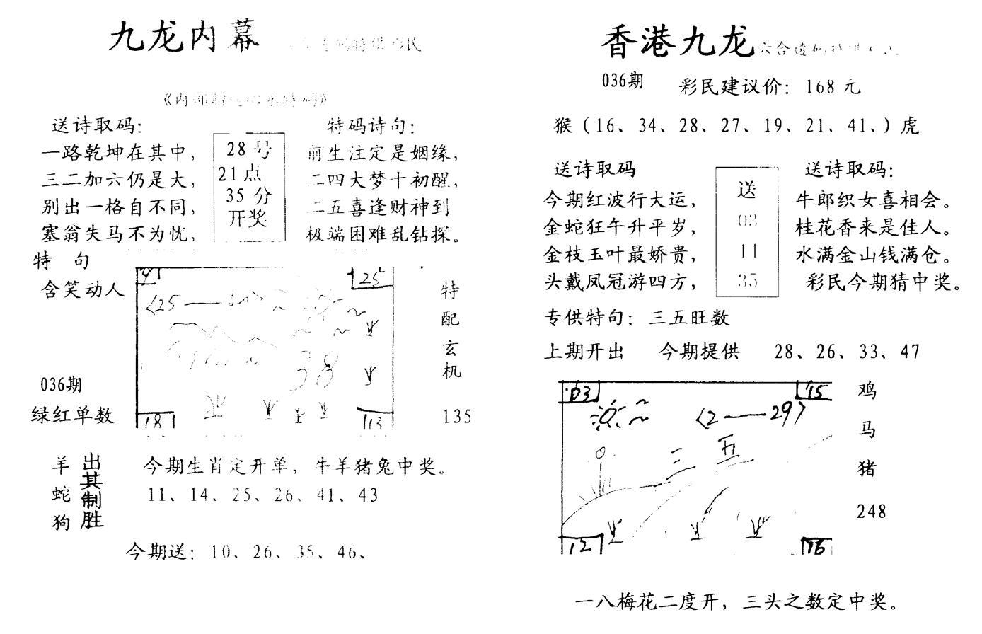 九龙内幕--开奖报-36