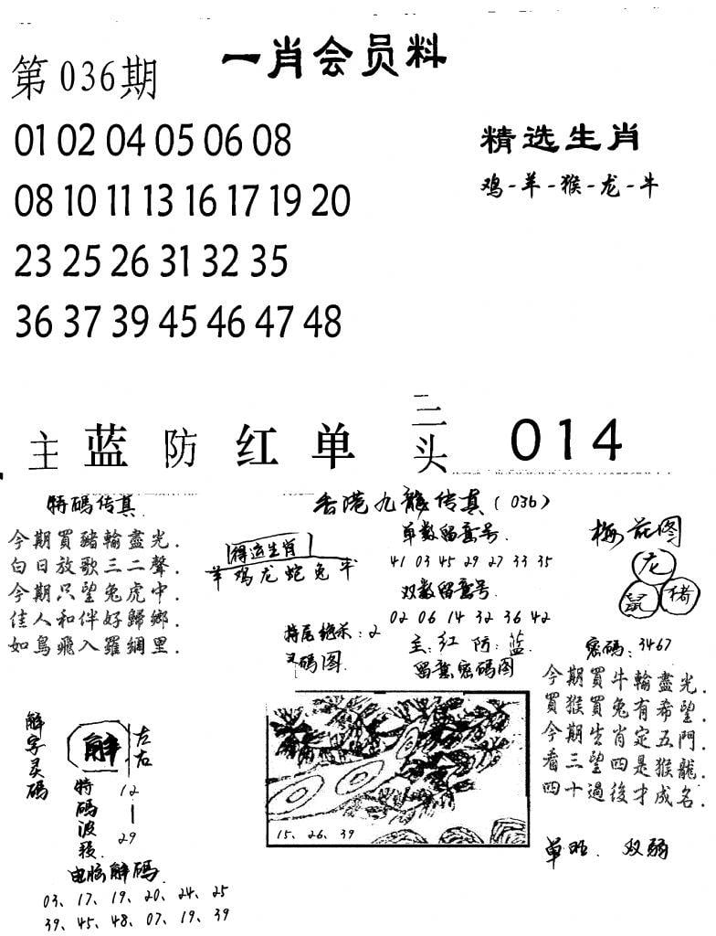 一肖会员料-36