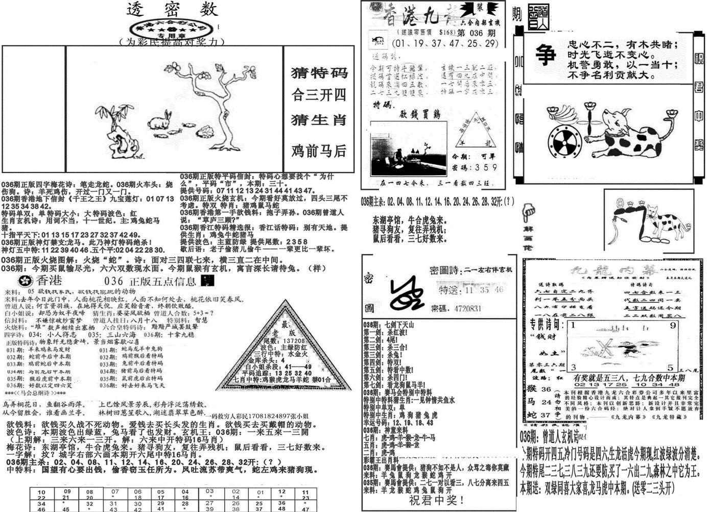 新透密数B(新)-36