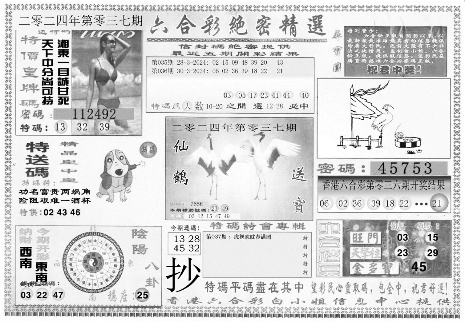 白姐绝密精选A-37