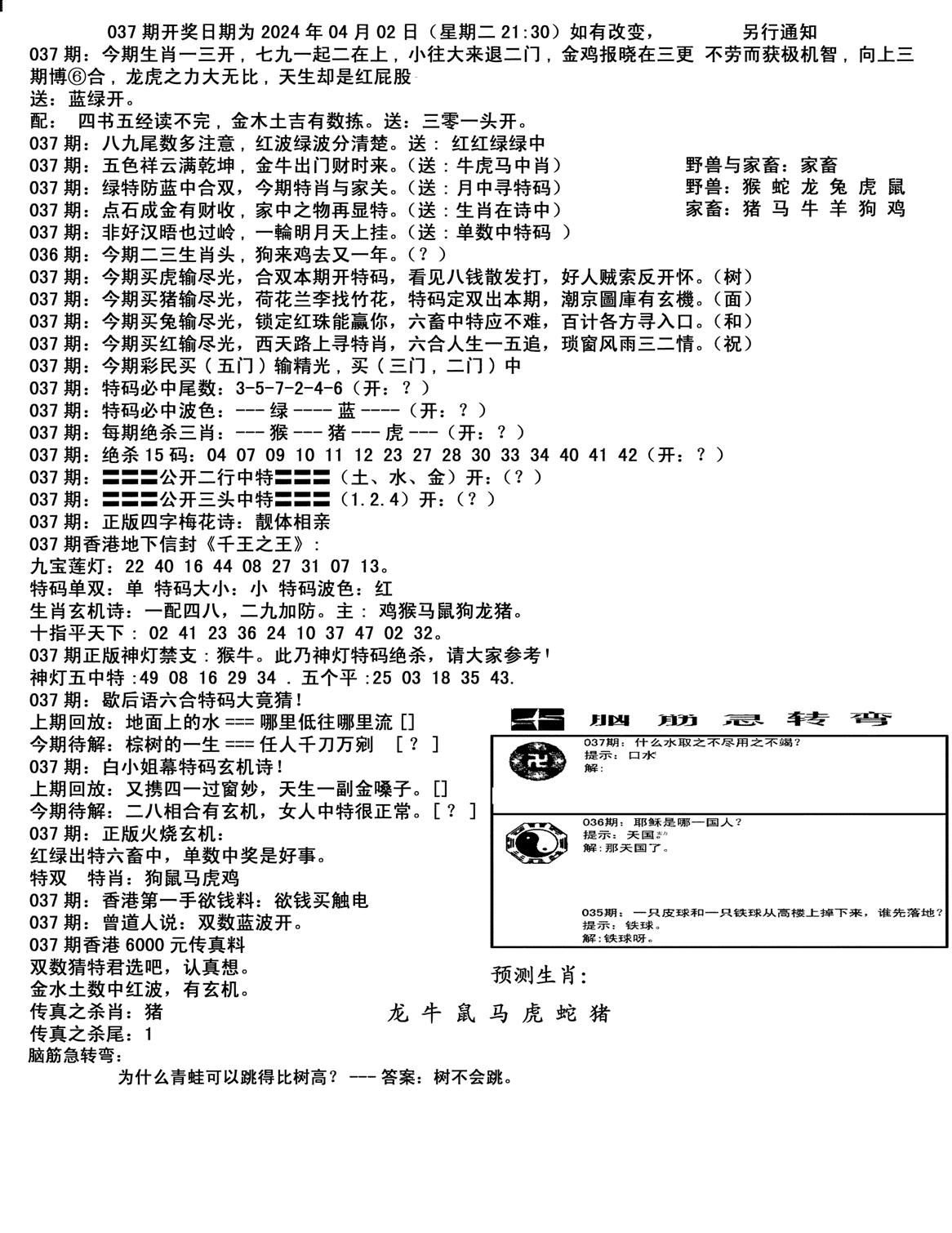 马会小综合-37