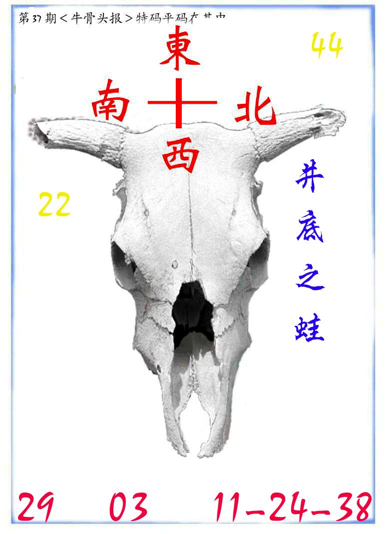 牛派系列7-37