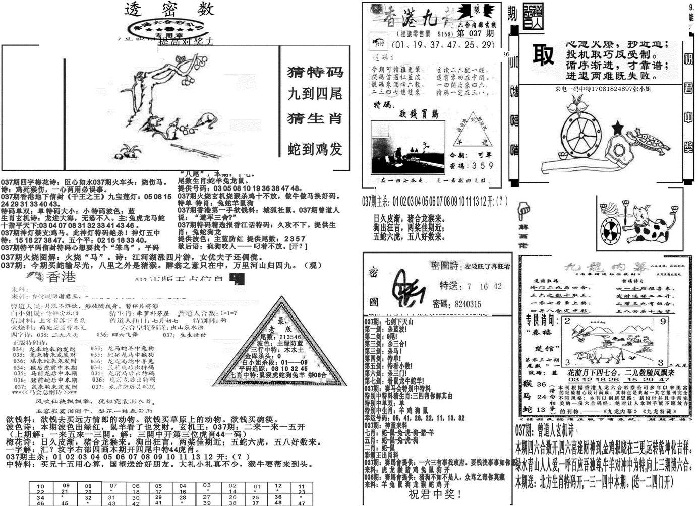 新透密数B(新)-37