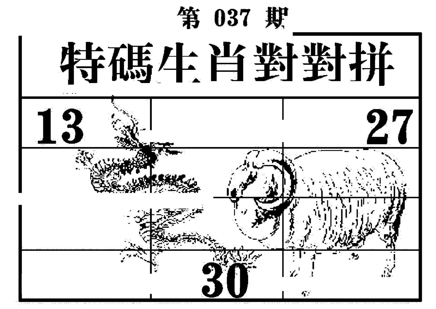 特码生肖对对拼-37