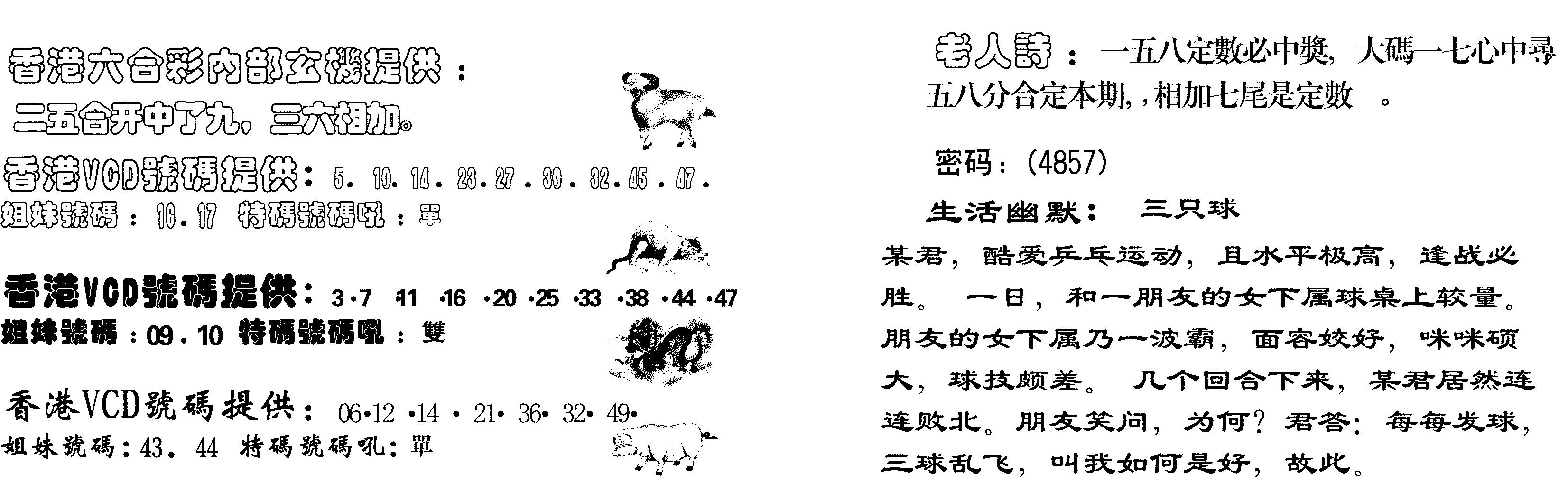 当日跑狗-38