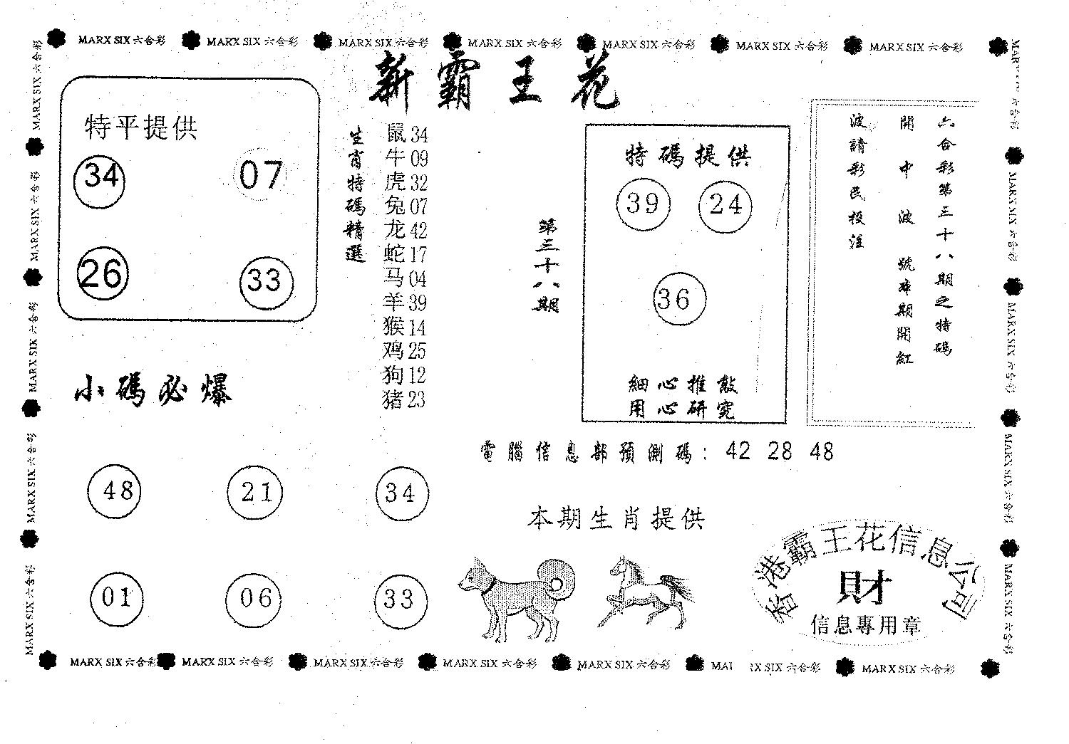 新霸王花-38