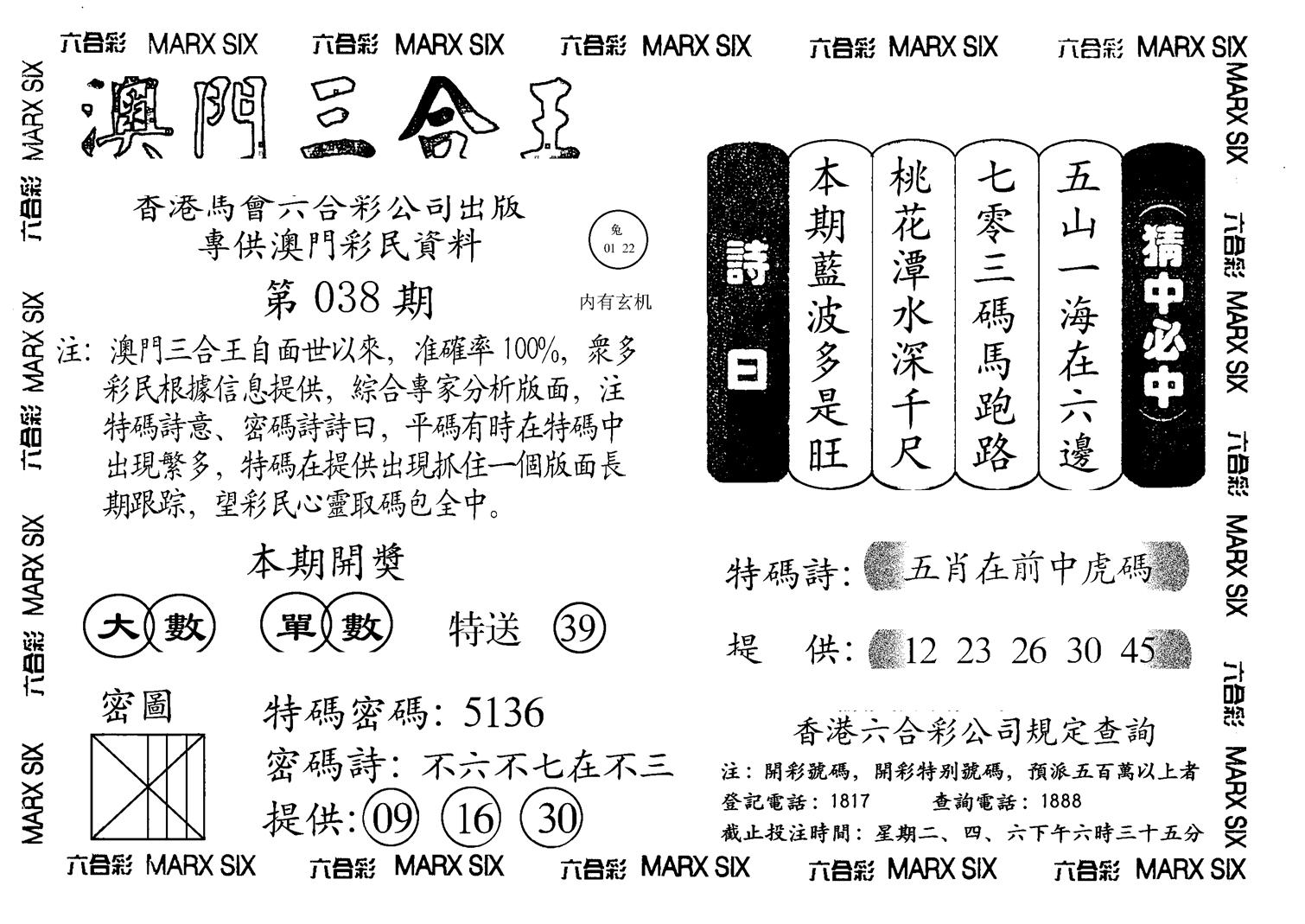 另澳门三合王A-38