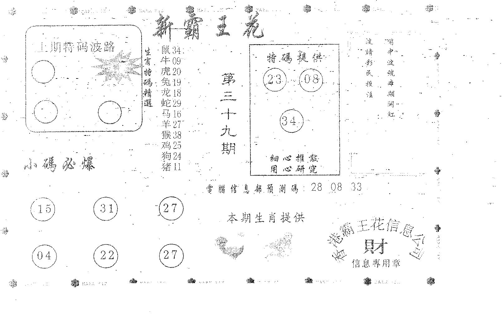 新霸王花-39