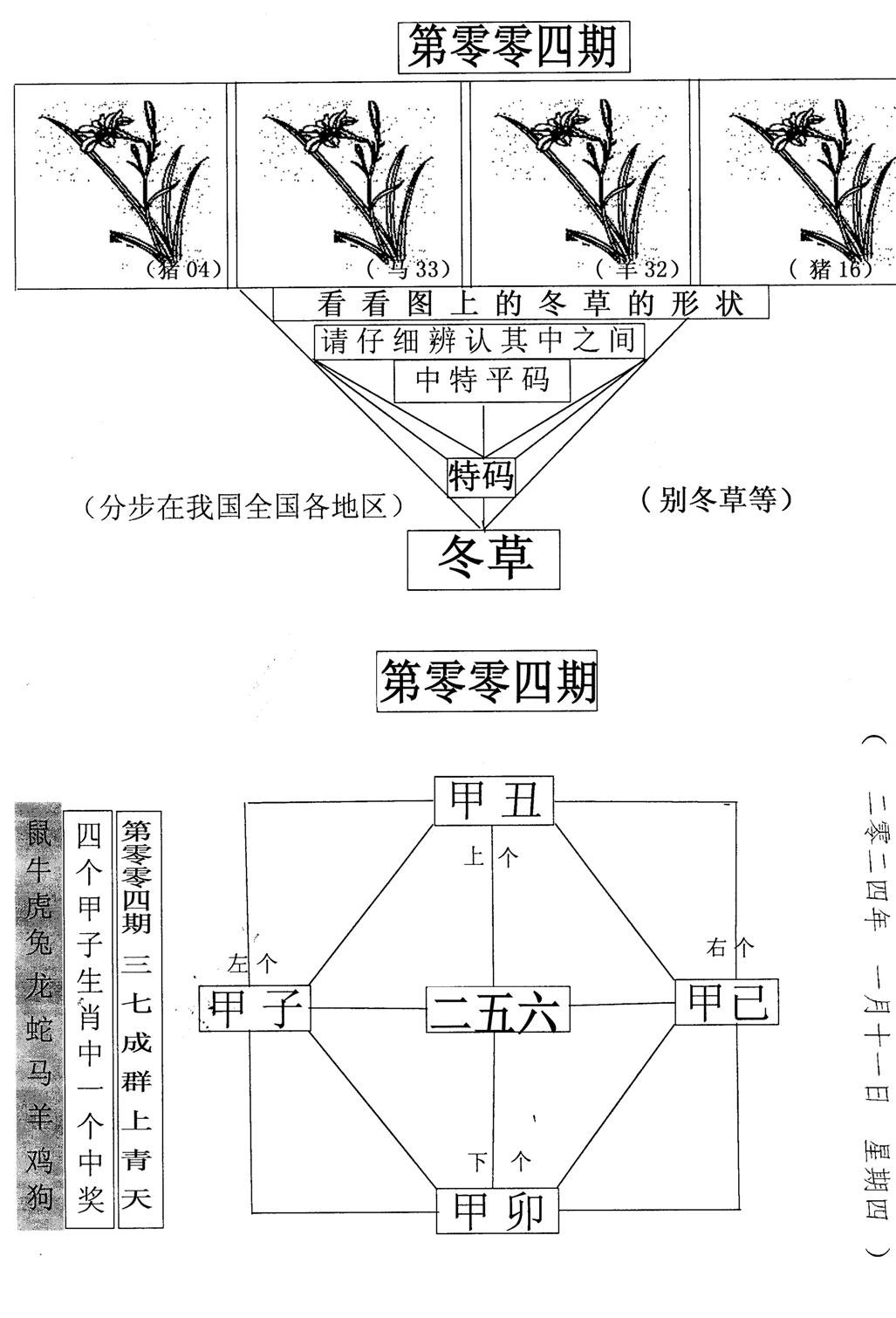 每期一花草-4