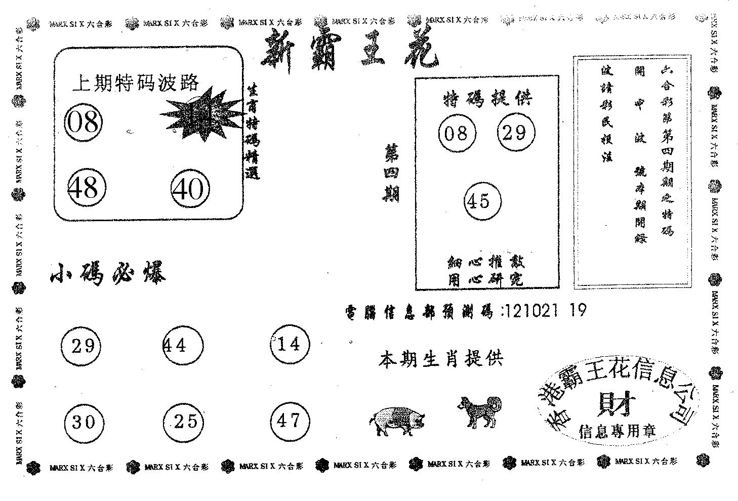 新霸王花-4