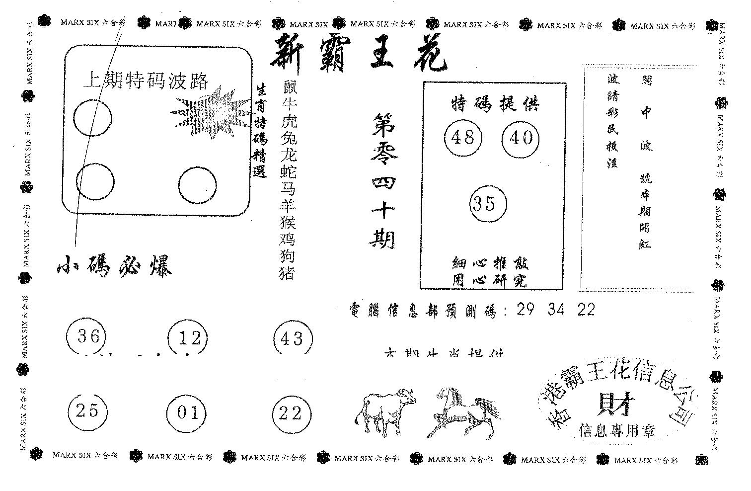 新霸王花-40