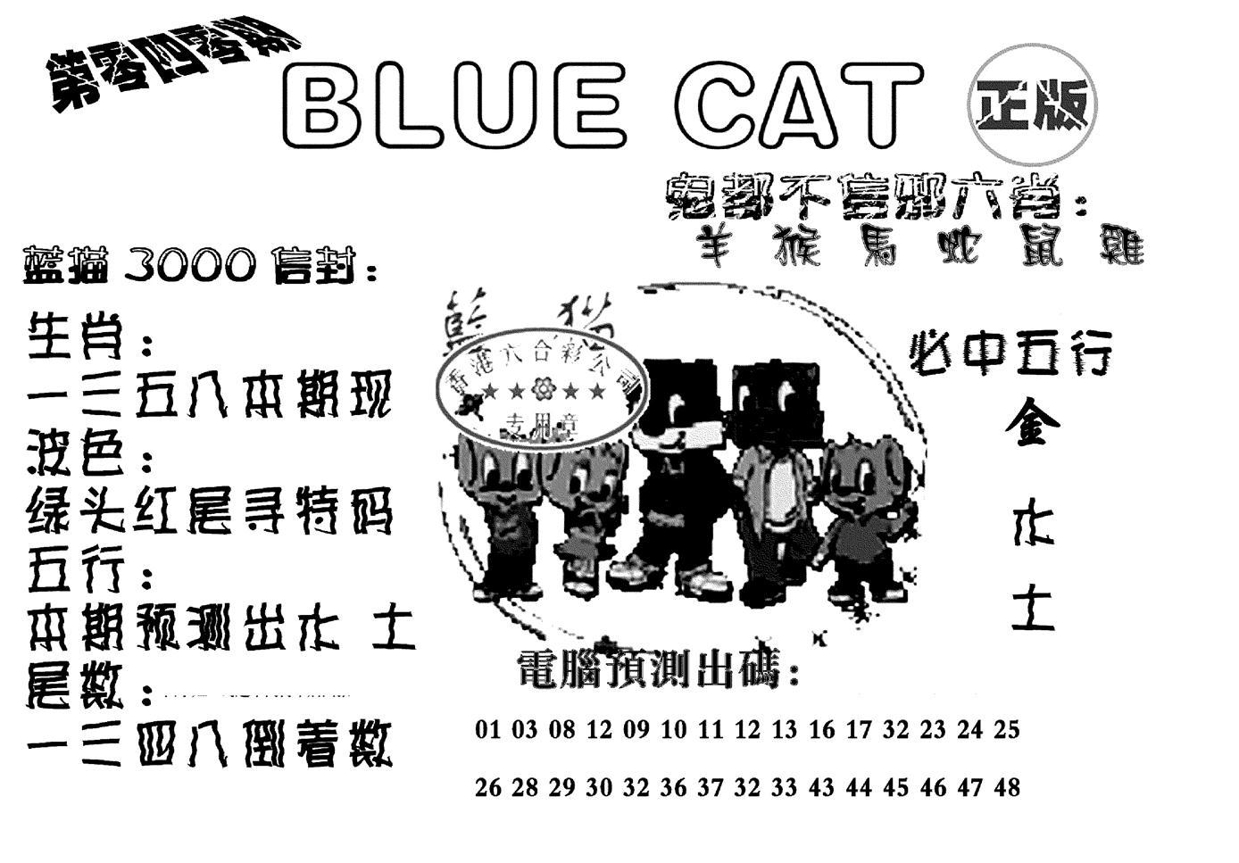 蓝猫Blue Cat-40