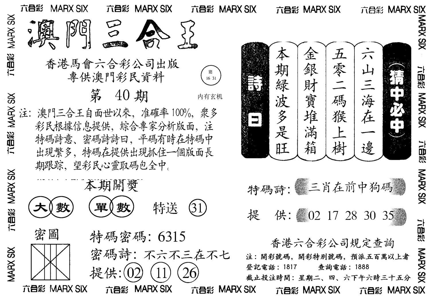 另澳门三合王A-40