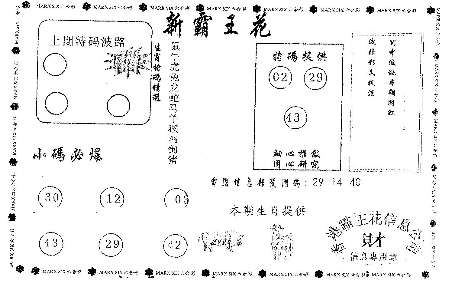 新霸王花-41