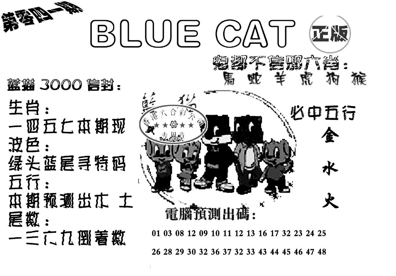 蓝猫Blue Cat-41