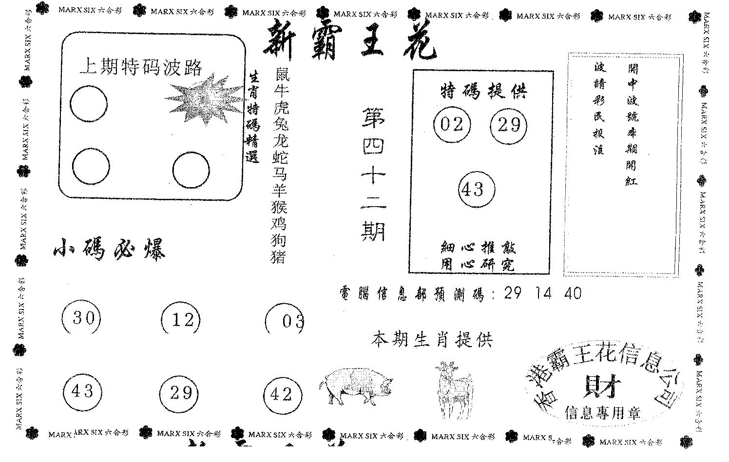 新霸王花-42